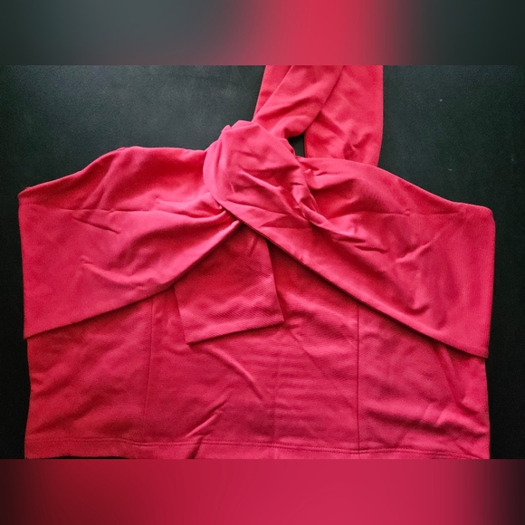 NWT - Banana Republic "Pink Crush" One-Shoulder Cropped Bustier - Size L - Picture 5 of 10